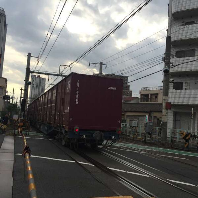 Tokyo Private Tour - A freight train at the railroad crossing near Nippori station