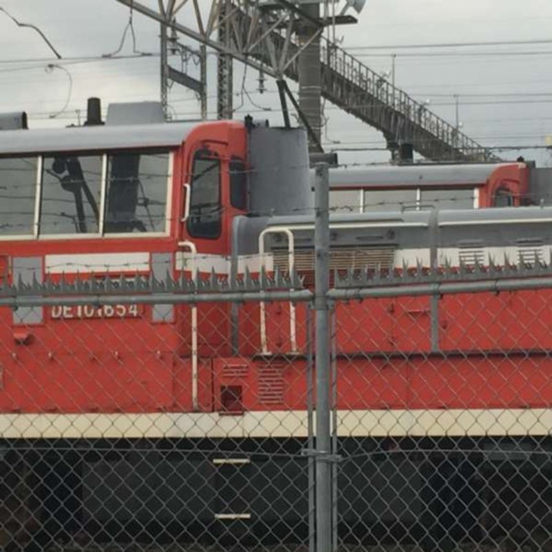 Tokyo Private Tour - A freight train in the Tabata train base