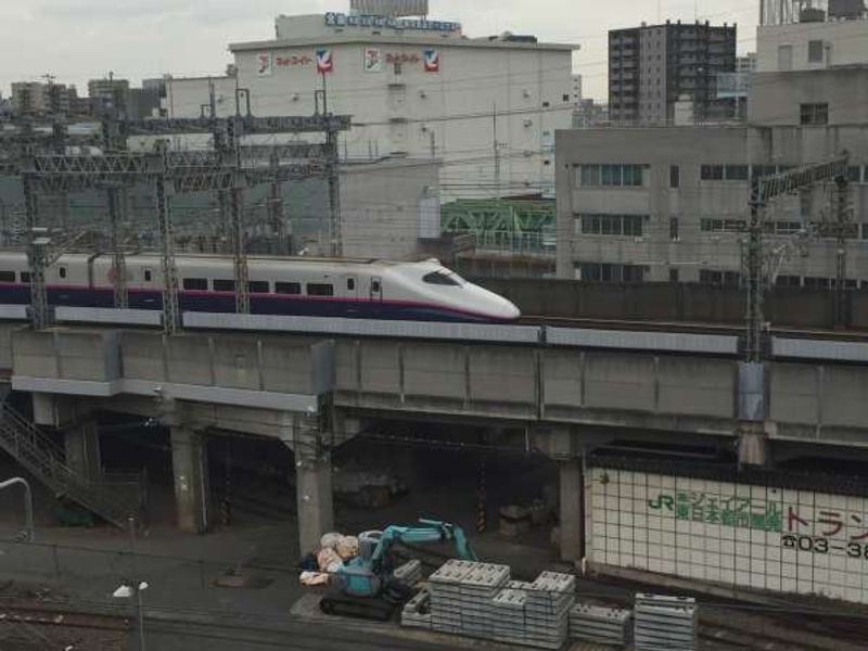 Tokyo Private Tour - A bullet train