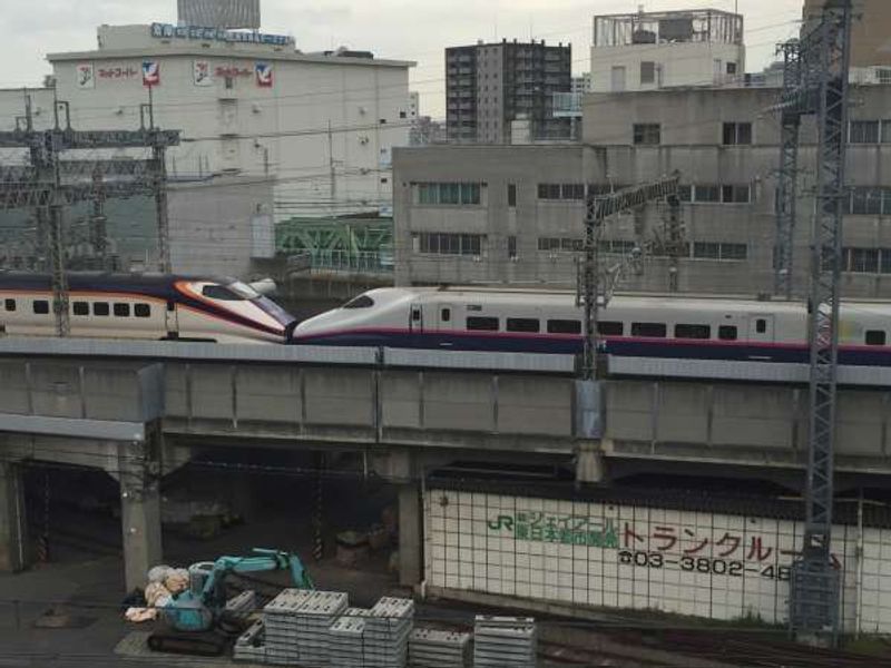 Tokyo Private Tour - Bullet trains