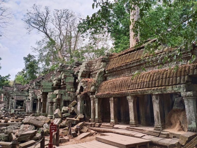 Siem Reap Private Tour - This is Taprohm Temple or Tomb Raider