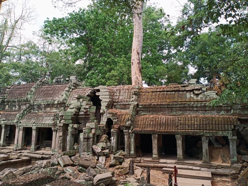 Siem Reap Private Tour - This is Taprohm Temple or Tomb Raider