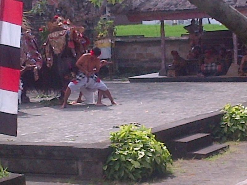 Bali Private Tour - Barong Dance