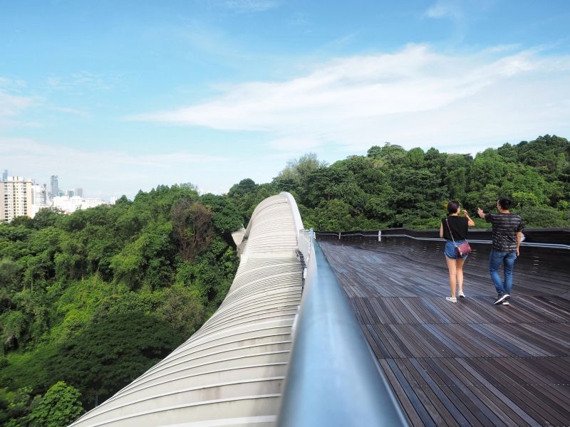 Singapore Private Tour - Atop the Henderson Waves