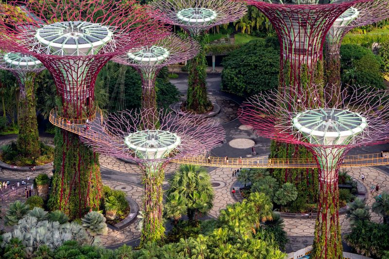 Singapore Private Tour - Avatar-like skywalk at Gardens by the Bay
