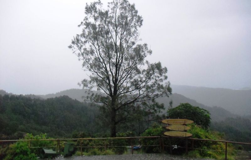 East Nusa Tenggara Private Tour - 11. Fir Trees on the Peak of Kelimutu