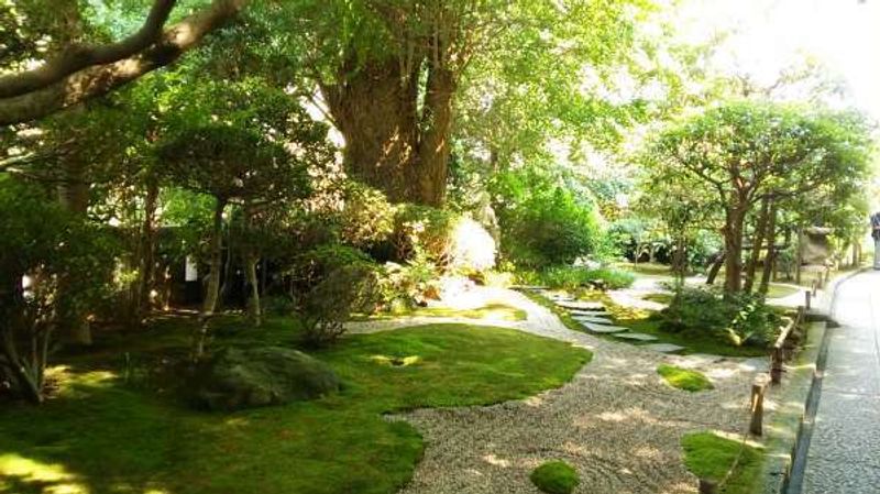 Kamakura Private Tour - Peaceful garden in Hokoku-ji temple