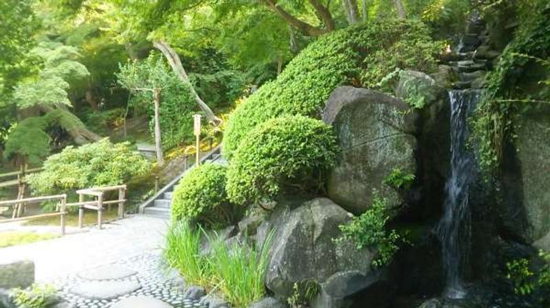 Kamakura Private Tour - Beautiful Japanese garden in Hase-dera temple