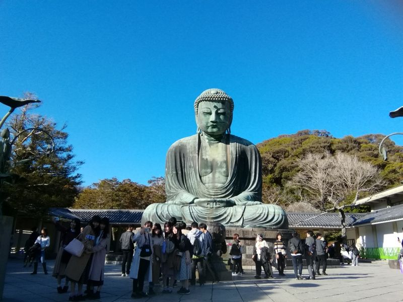 Kamakura Private Tour - The Great Buddha in Kotoku-in temple