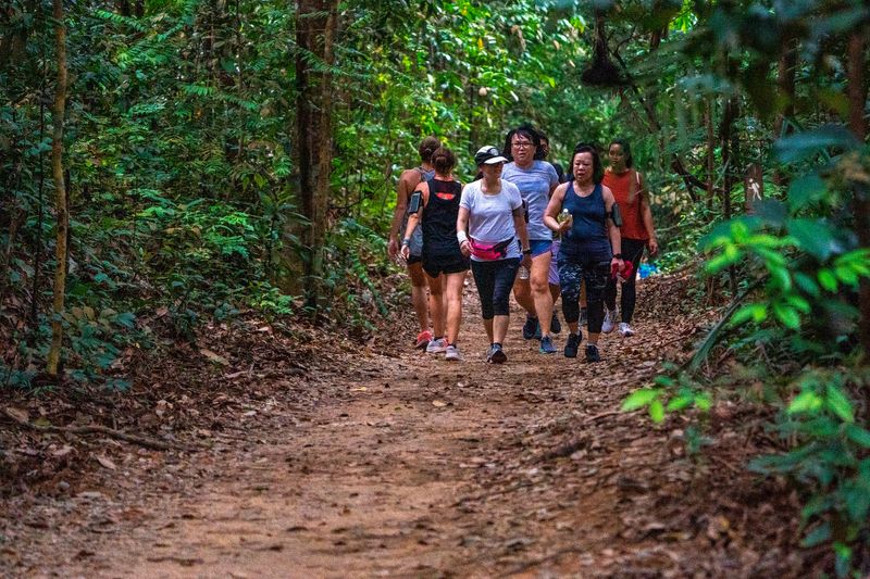 Singapore Private Tour - Dirt and gravel paths
