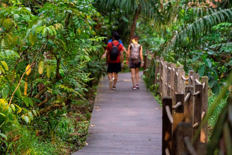 Singapore Private Tour - Stretches of tranquil boardwalk