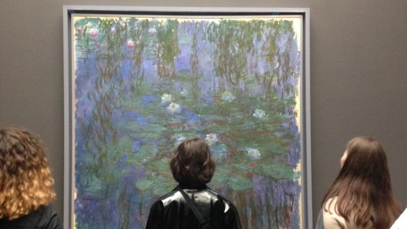 Paris Private Tour - Monet, Water lilies 