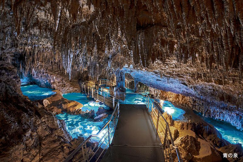 Okinawa Main Island Private Tour - GYOKUSENDO limestone cave
Located in OKINAWA world,  walk through 890m long limestone cave with good path, is lighted up inside, mysterious scenery.