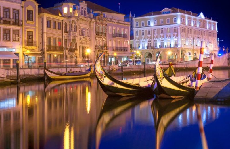 Aveiro Private Tour - null