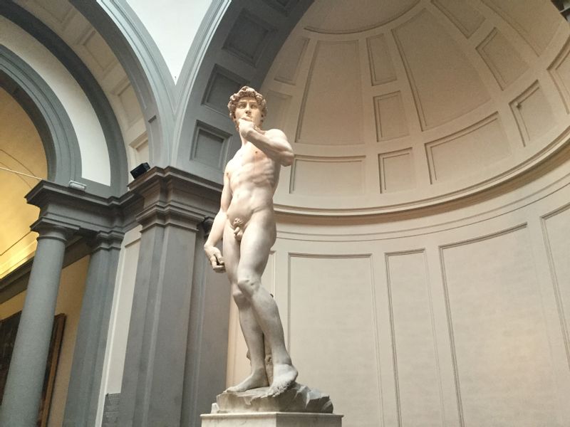 Florence Private Tour - David at the Accademia Gallery