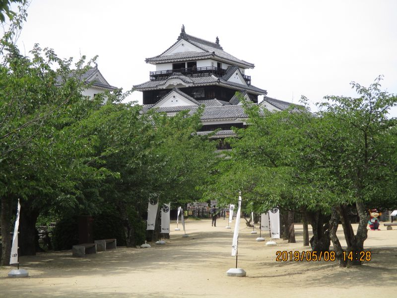 Ehime Private Tour - Matsuyama Castle