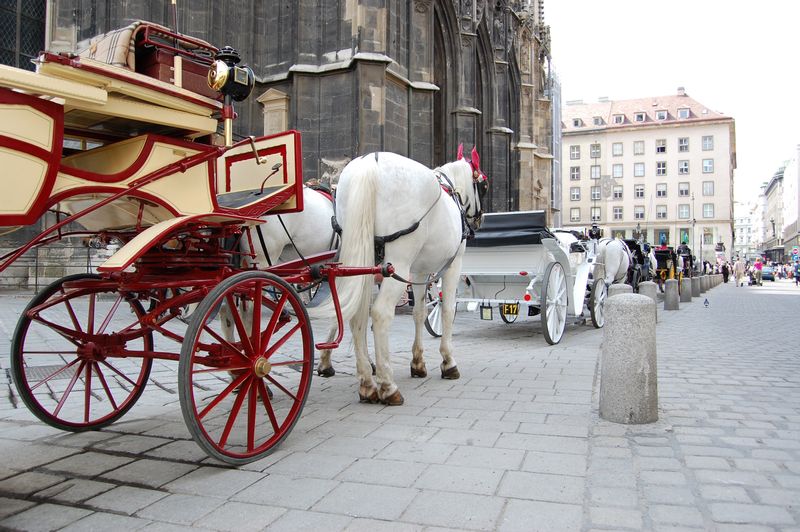 Vienna Private Tour - horse carriage