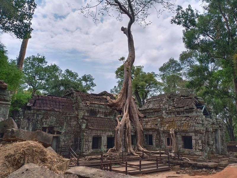 Siem Reap Private Tour - Tomb Raider Temple