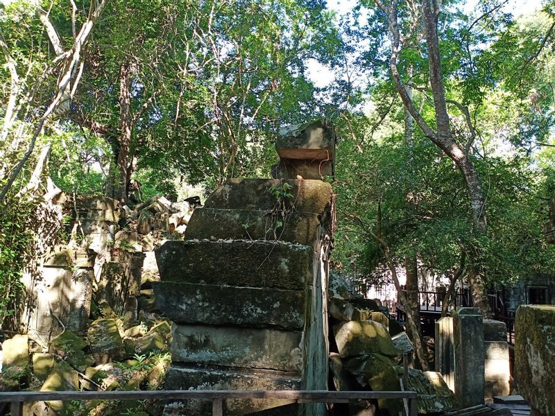 Siem Reap Private Tour - Jungled Temple