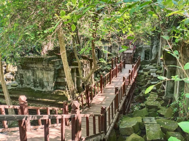 Siem Reap Private Tour - Jungled Temple