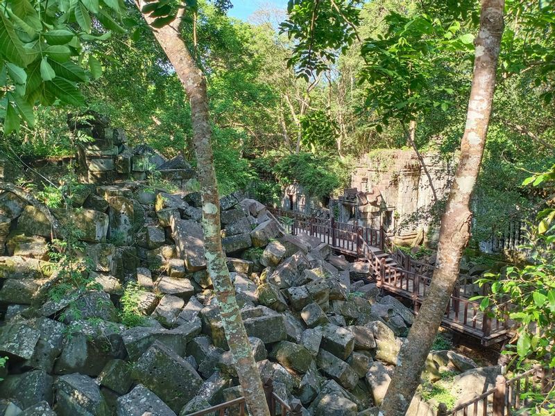 Siem Reap Private Tour - Jungled Temple