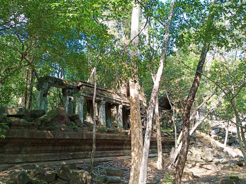 Siem Reap Private Tour - Jungled Temple