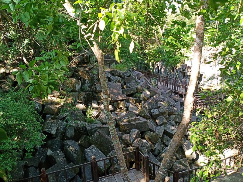 Siem Reap Private Tour - Jungled Temple