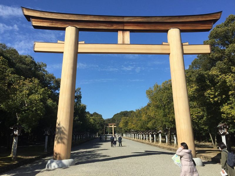 Nara Private Tour - null