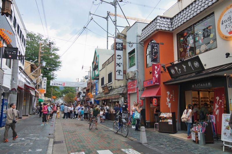 Nara Private Tour - Sanjo shopping street 