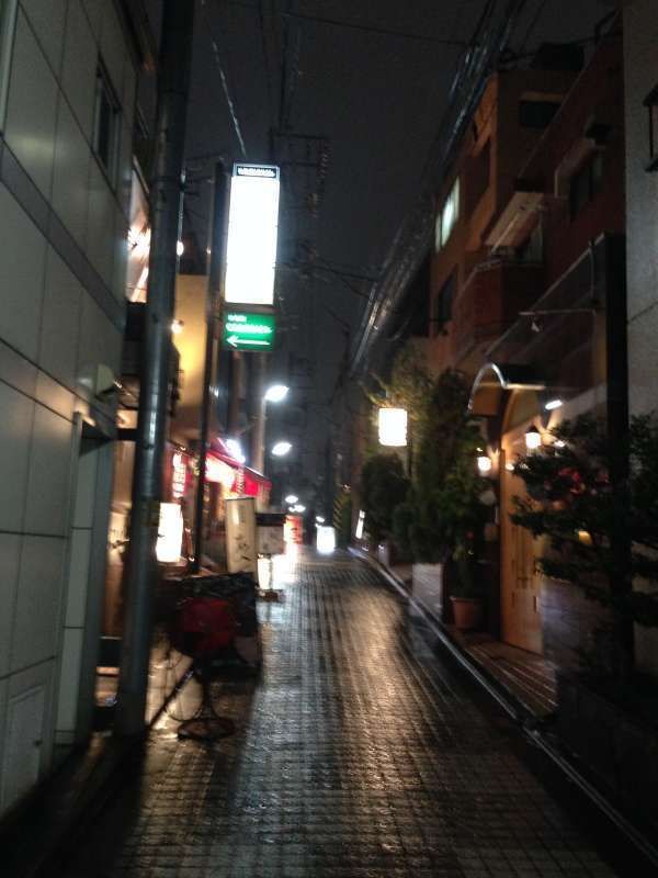 Tokyo Private Tour - Evening time in  one of the Kagurazaka's allies