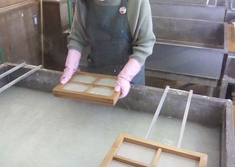 Fukuoka Private Tour - Washi(Japanese paper) making is also fun and interesting activity to do. You choose your favorite dried flowers and decorate and make your original postcards and book marks!