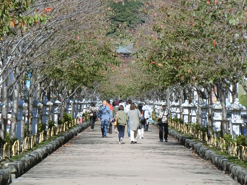 Kamakura Private Tour - Let's enjoy walking in historical Kamakura city.