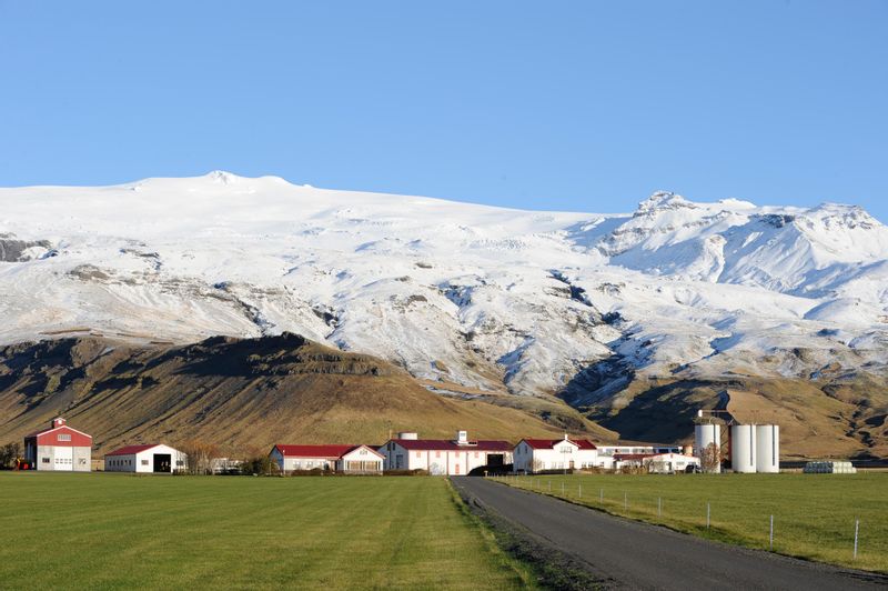 Reykjavik Private Tour - Farm along the way.