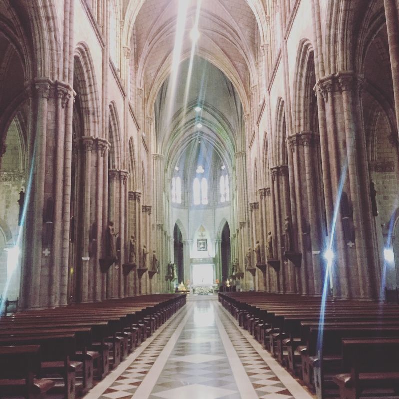 Quito Private Tour - Basilica Church