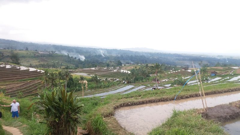 Bali Private Tour - Jatiluwih Rice terrace Panorama