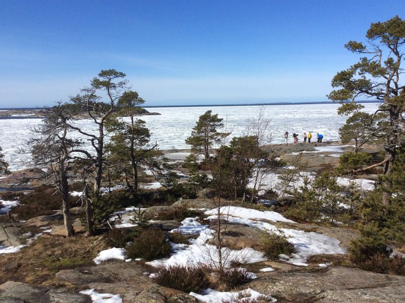 Helsinki Private Tour - Wonderful view to the Gulf of Finland