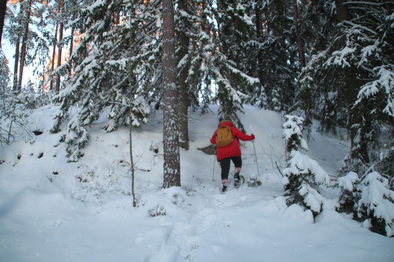 Helsinki Private Tour - During winter there can be snow...