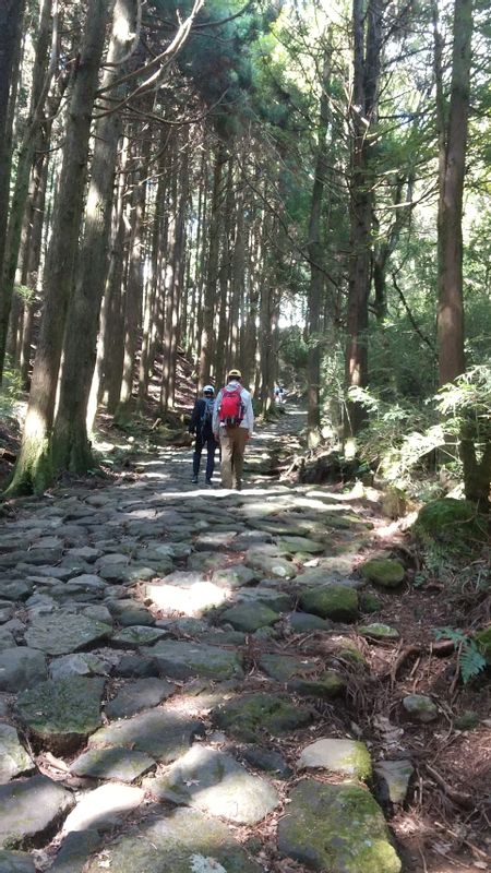 Hakone Private Tour - A path in this tour