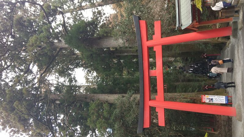 Hakone Private Tour - Hakone shrine