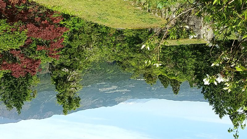 Gifu Private Tour - scenery from the castle ruins