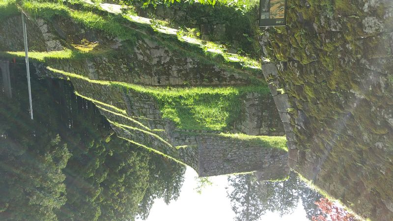 Gifu Private Tour - castle ruins