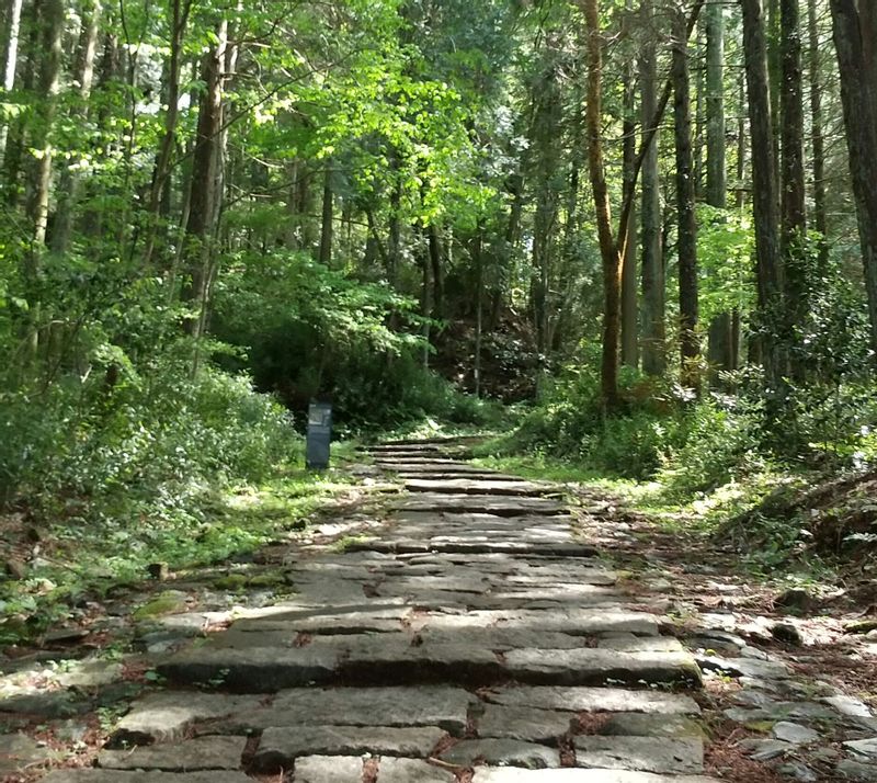 Gifu Private Tour - trekking route from the castle town to castle ruins