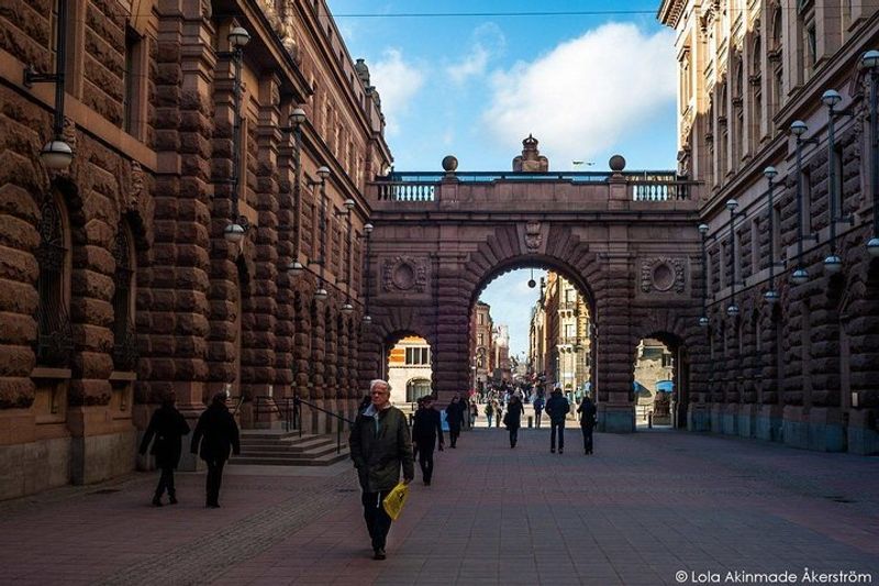 Stockholm Private Tour - Stockholm  Rikstag( The Swedish  Parliament)