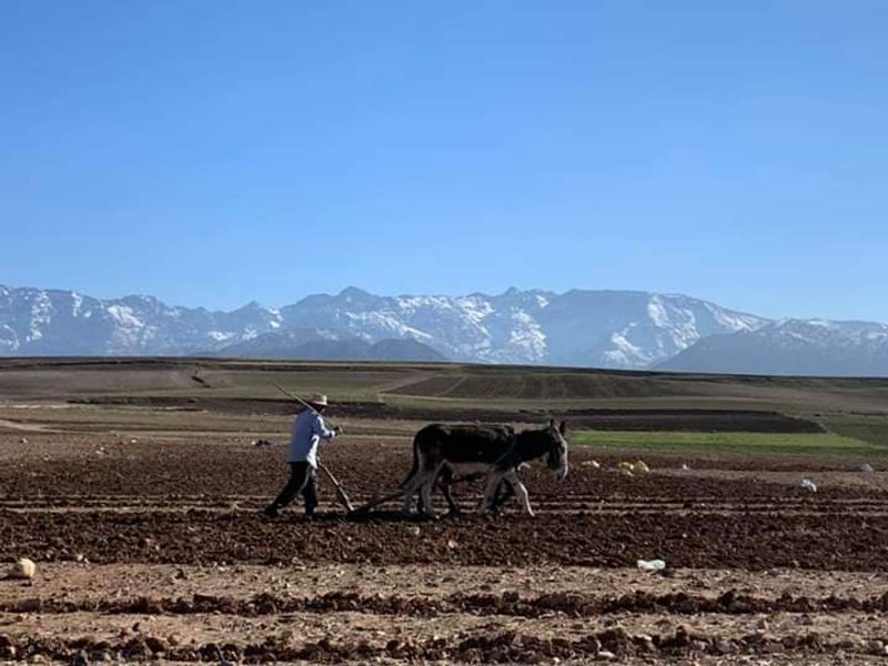 Marrakech Private Tour - kik platou