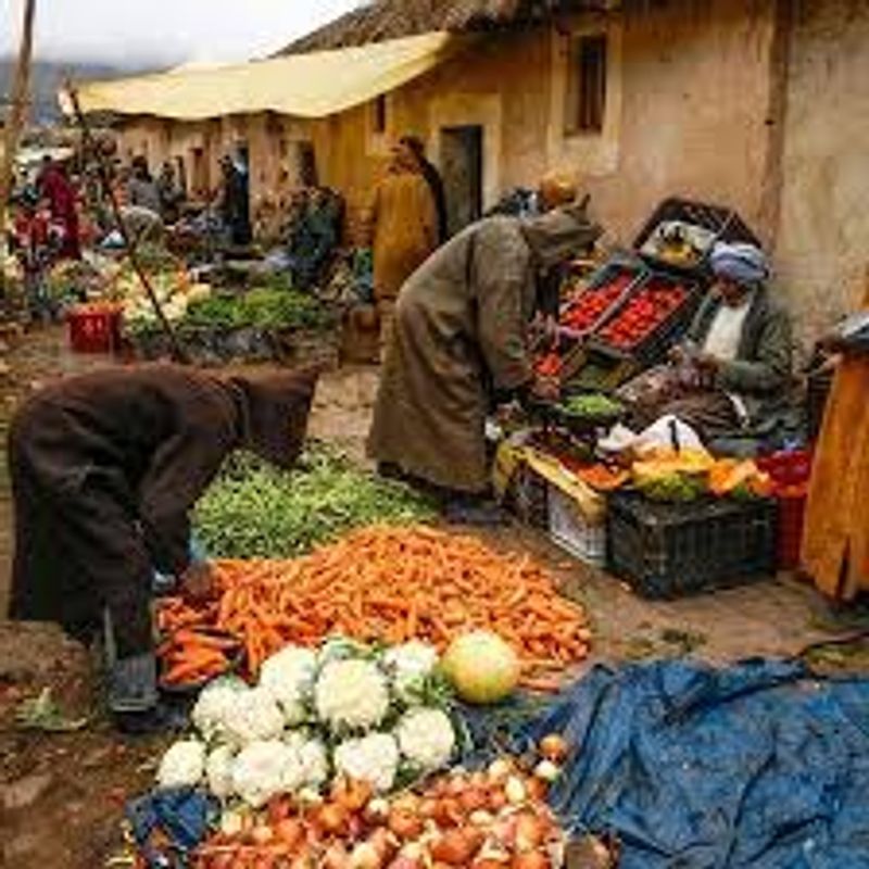 Marrakech Private Tour - local berber souk