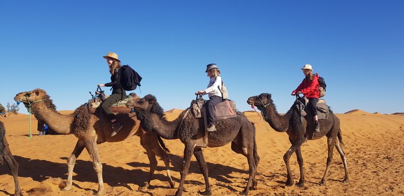 Marrakech Private Tour - Camel experience 