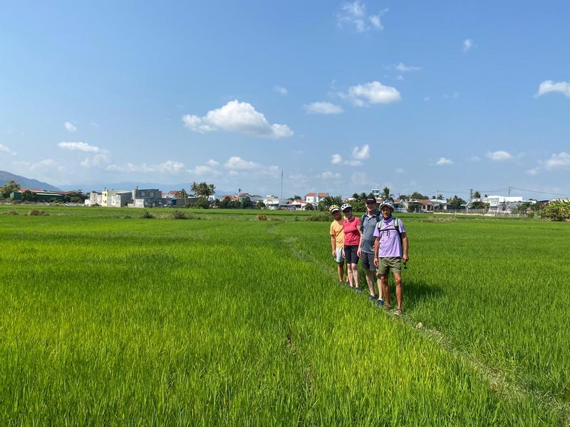 Nha Trang Private Tour - Paddy Fields