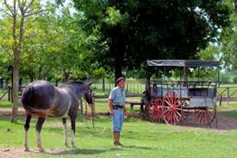 Buenos Aires Private Tour - Gaucho. Ranch. BBQ and Wine and Empanadas! 