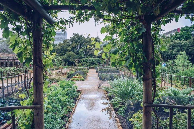 Cape Town Private Tour - The first vegetable gardens