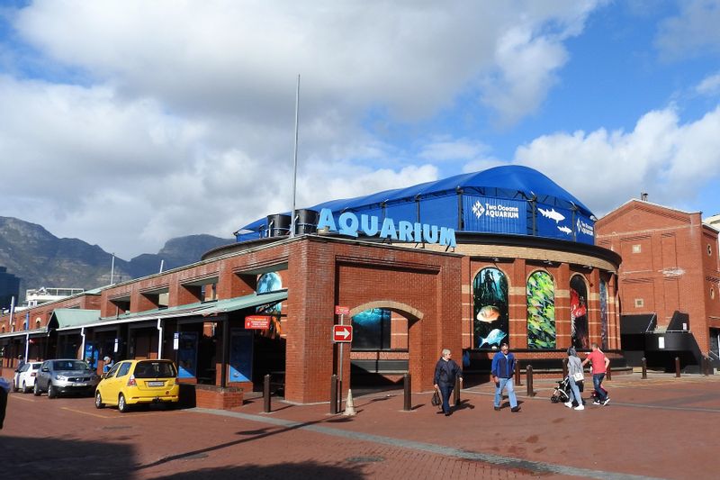 Cape Town Private Tour - Two Oceans Aquarium